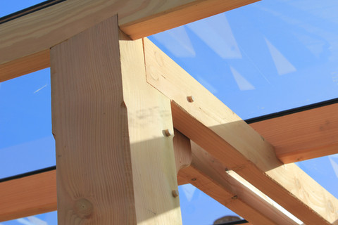 Douglas Fir, Larch & glass veranda