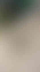 37EADE65-C3B9-4503-B8F7-AAF0D75B66D8