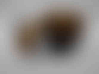 Burnished Oak acorn pot