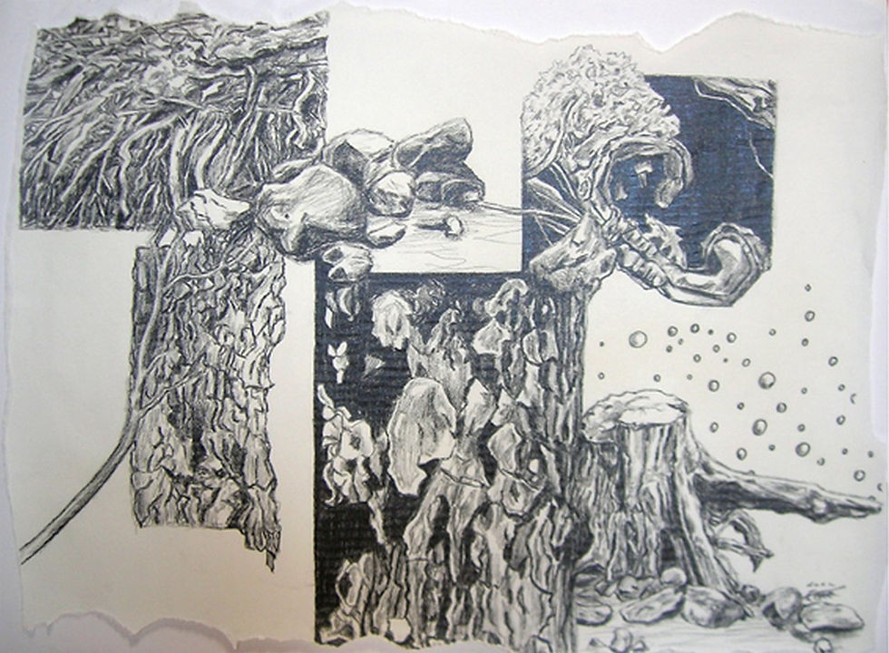 following the tree1.jpg
