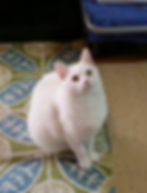 20141120_104542-1.jpg