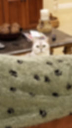 20171110_173917.jpg