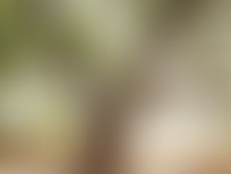 6/19 ヨーガのルーツ ヒマラヤの旅2018 シェア会