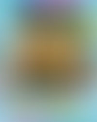 RODA do Nzinga Osaka e Kyoto/2025.27 de Dez - 12/27(土) 年末ホーダの開催!