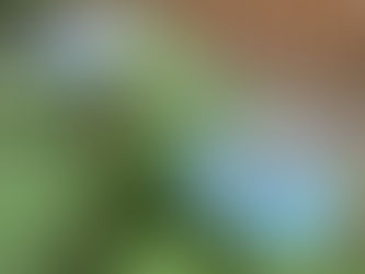 トコ会館のお庭には…