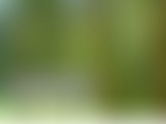 週間スケジュール**6/29-7/5