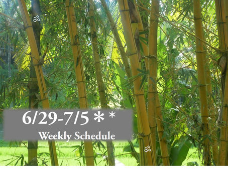 週間スケジュール**6/29-7/5
