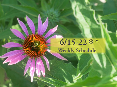週間スケジュール**6/15-21