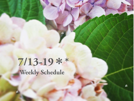 週間スケジュール**7/13-19