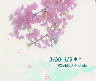 週間スケジュール**3/30-4/5