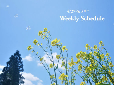 週間スケジュール**4/27-5/3