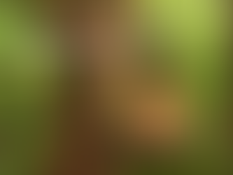 1/31 呼吸の智慧と流れるヨガ〜Prana Vidya & TriYoga Flow〜