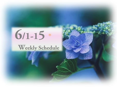 週間スケジュール**6/1-15
