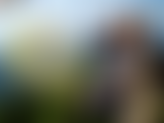 9/4 Yoga Cafe 〜スローシネマとブータン旅行のお話会〜