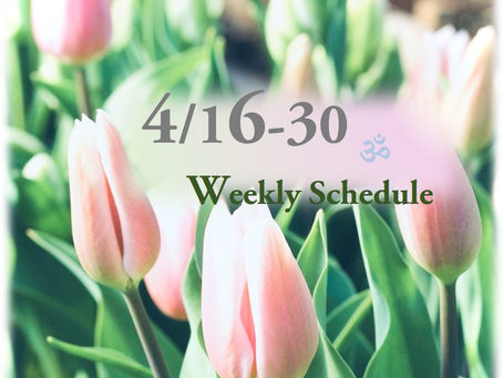 週間スケジュール**4/16-30