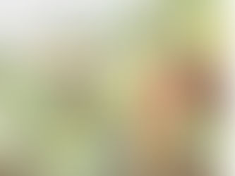 週間スケジュール**9/7-13