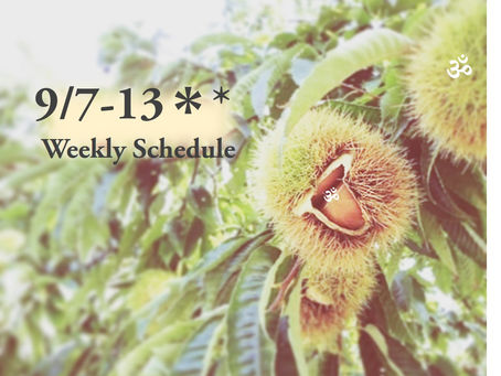 週間スケジュール**9/7-13