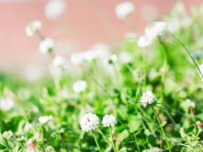 大きくなったかな？～赤ちゃん体重測定会　3月～