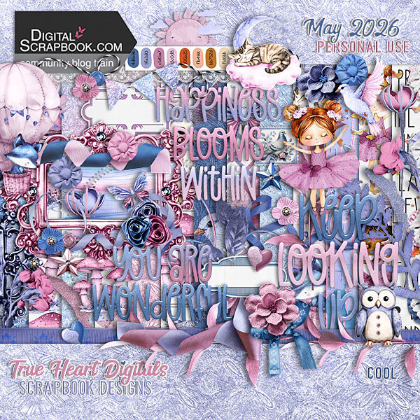 May 2026 DSBT