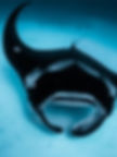 Ethereal close-up of a Manta Ray at the Rasdhoo Manta Cleaning Station, facing the camera against a sandy backdrop, capturing the grace of our Manta Diving experience