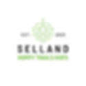 Main Logo - White