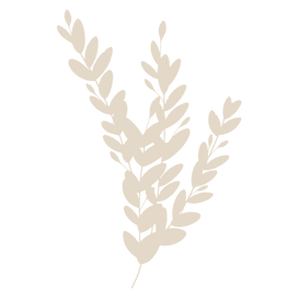 Willow Road Logos (8).png