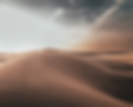 Willow Road Website 1 (1).png