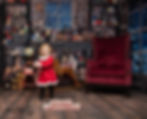 Toy Shop Minis