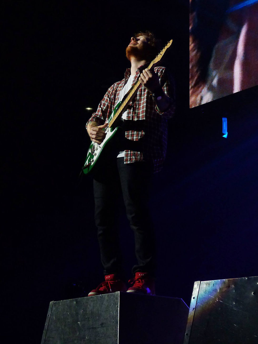 Concert Photography