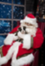 Santa Experience