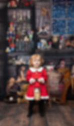 Toy Shop Minis