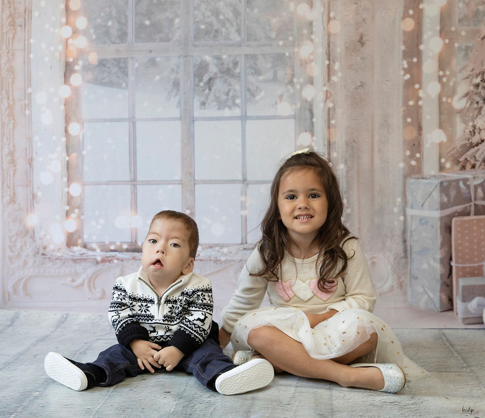 Christmas Elegance