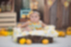 Lemonade Stand Cake Smash