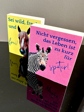Kleine Holzbilder mit buntem Druck und lustigem Spruch