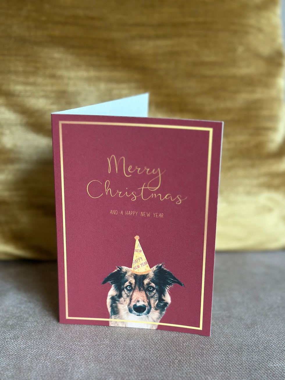 Miniaturbild: Weihnachtskarte "Tierfreunde"