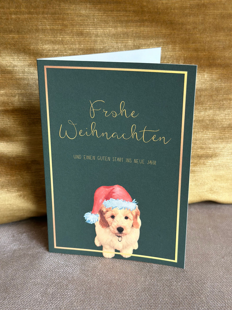 Miniaturbild: Weihnachtskarte "Tierfreunde"