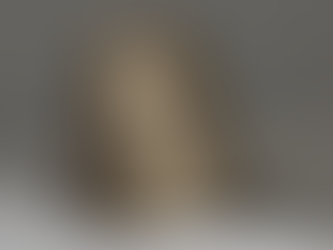 4. "Top 5 Urban Backpacks for Sustainable Adventurers"