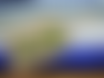 5. Check out the Fashion World's "Gentle Giants" and don't waste stuff.