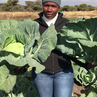 Hear from Mrs Boikhutso Setlhatlhanyo, a horticultural farmer in Molepolole area