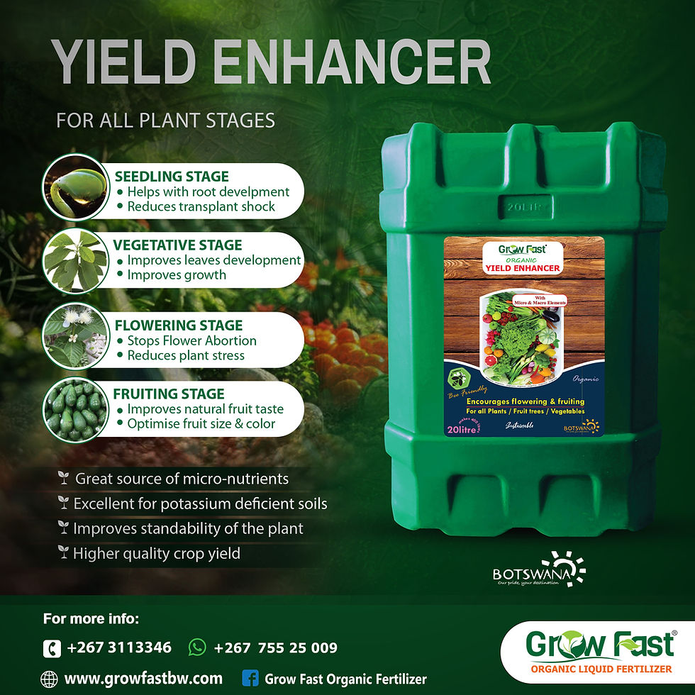 Growfast Yield Enhancer: a versatile solution designed to enhance plant growth at every stage from seedling to fruiting. With its unique formulation, this yield enhancer promises to transform your agricultural practices and improve the quality of your harvest