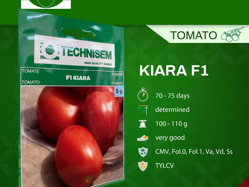 Kiara F1 Tomato