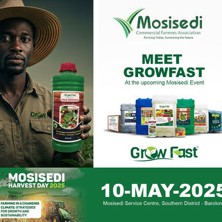 Join us Tomorrow at Mosisedi Harvest Day!