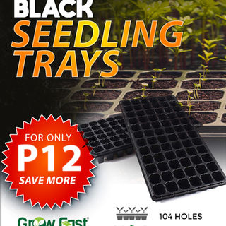Black seedling trays on special