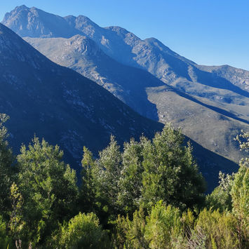 Outeniqua Mountain Pass