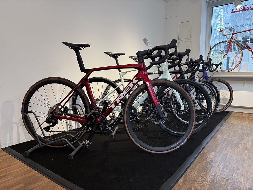 Karlinger Racingbikes Sortiment Rennrad und Gravelbike.jpg