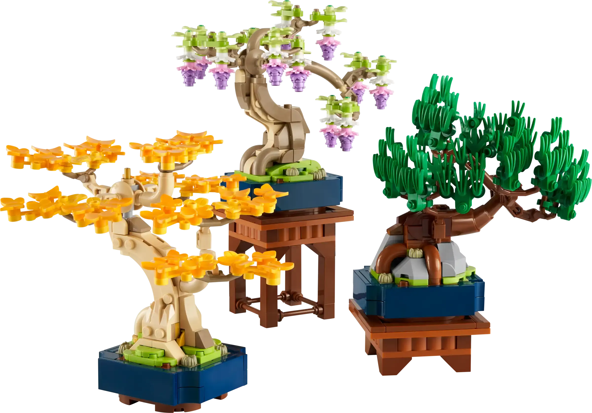 Mini Bonsai Trees (10373)