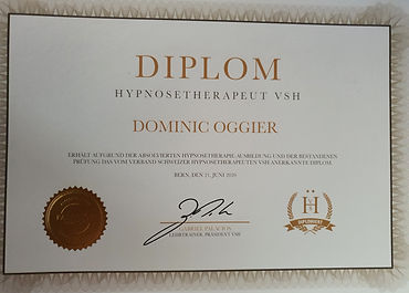Diplom_VSH.jpg