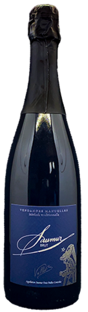 BULLE TRAD BRUT_edited.png