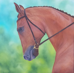 The Thoroughbred