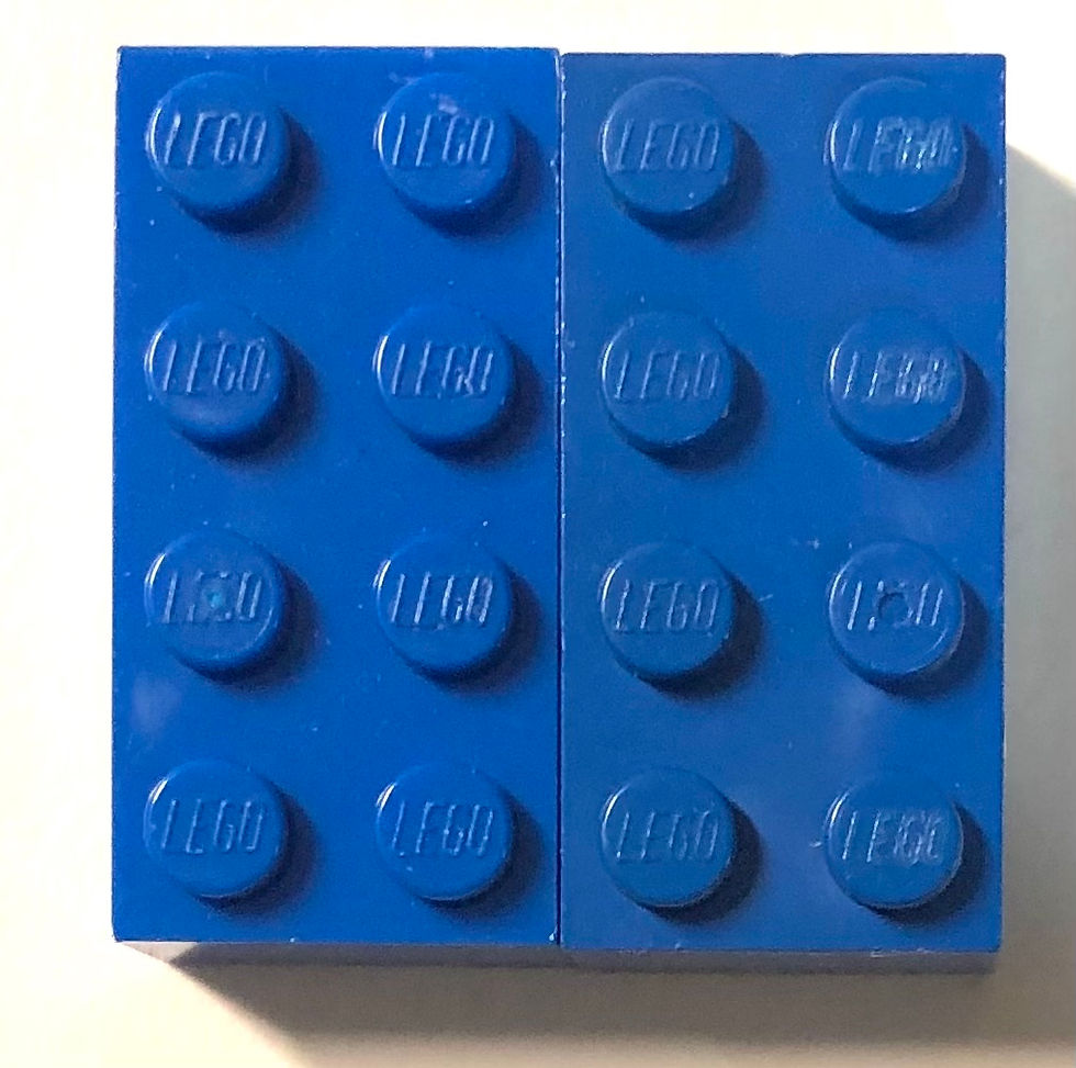 Two 2x4 bricks color variation